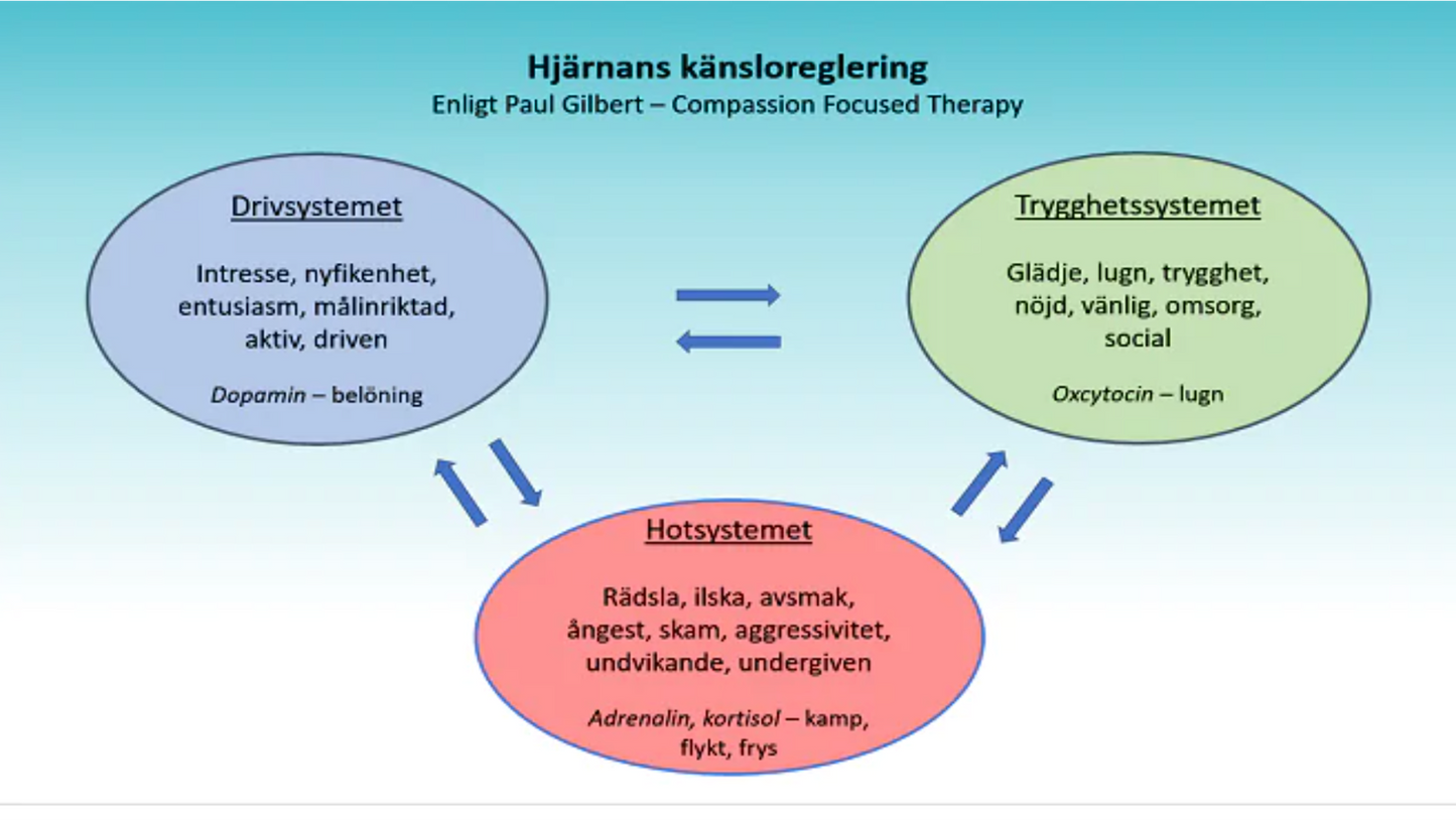 Att slippa ångest - hur du tar tillbaka kontrollen