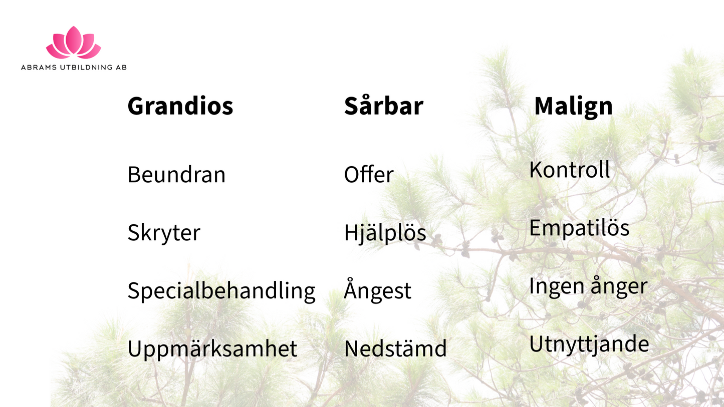 Att leva nära en narcissist – förstå, skydda dig