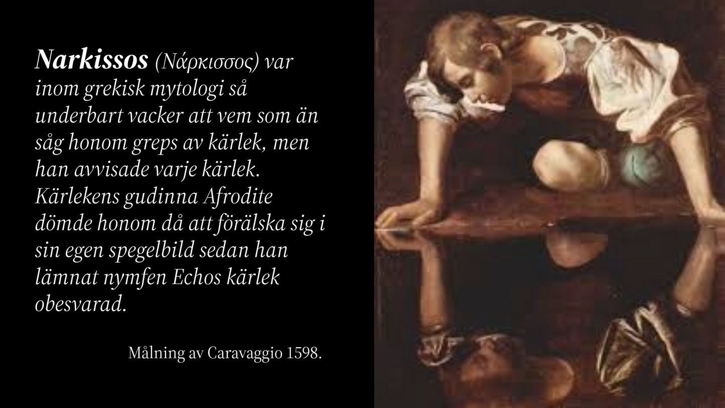Att leva nära en narcissist – förstå, skydda dig