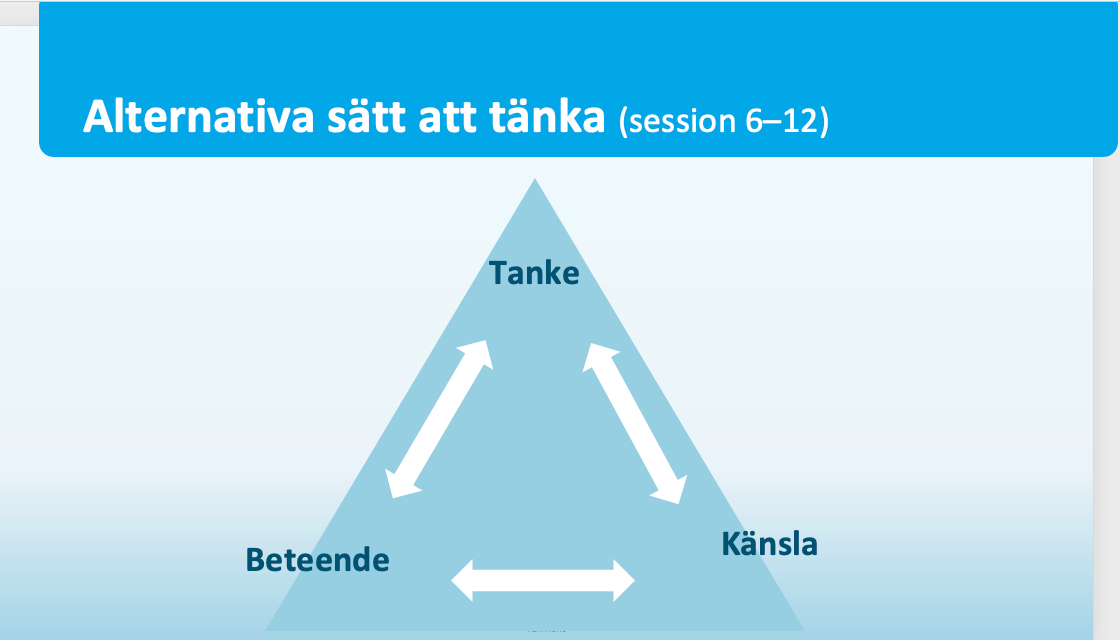 NECT-gruppledarutb.
