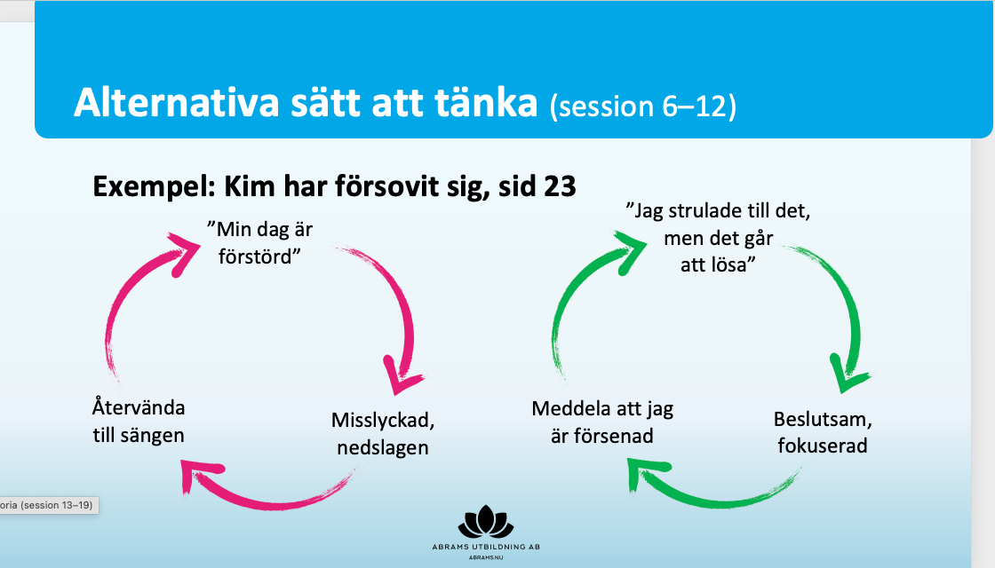 NECT-gruppledarutb.