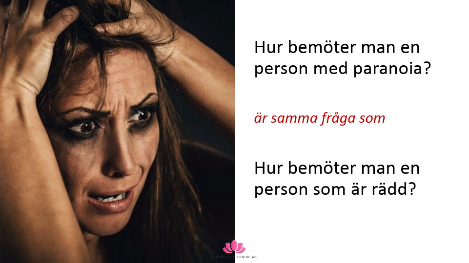 Interaktivt Bemötande