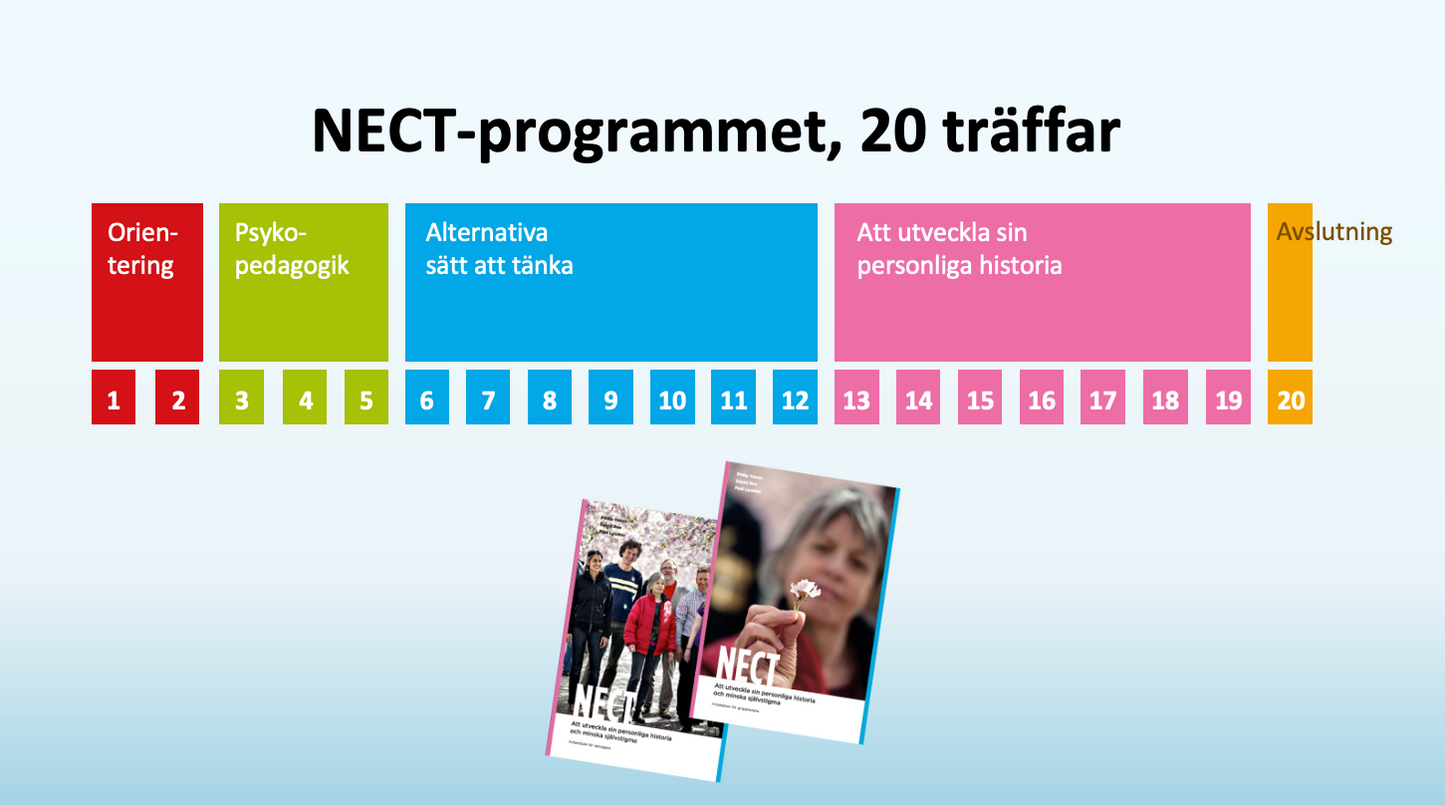 NECT-booster. Stöd och uppdatering för dig som gått utbildningen tidigare. Tor 12 dec el. tor 6 feb.  Heldag i Teams.