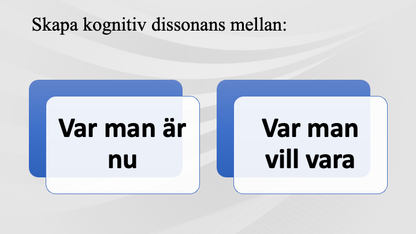 MI - Motiverande intervju