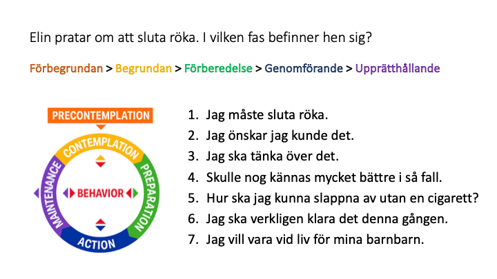 MI - Motiverande intervju