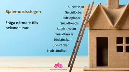 Stödja vid psykisk ohälsa