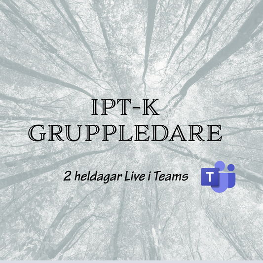 IPT-k, gruppledarut. må 13 & to 16 jan 2025 (digital liveutb.)