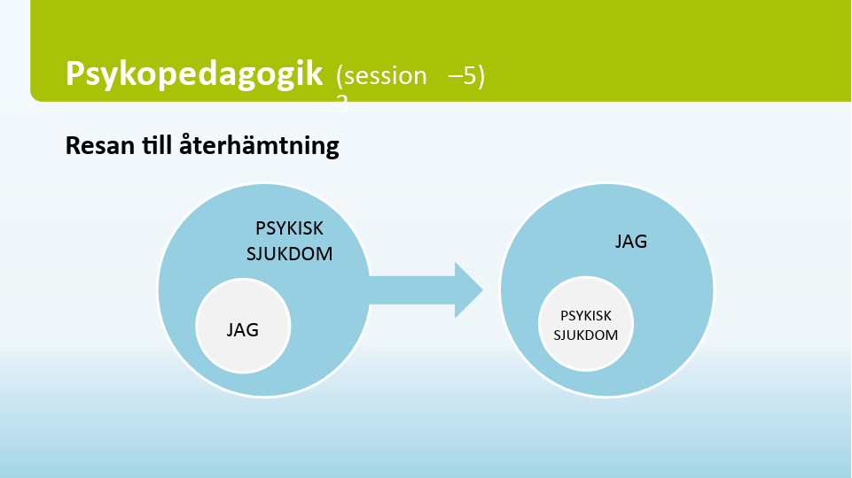 NECT, manual för gruppledare