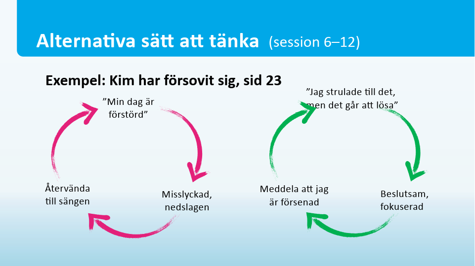 NECT- grupprogram mot självstigma för egenerfarna (Skövde) Start 3 dec.