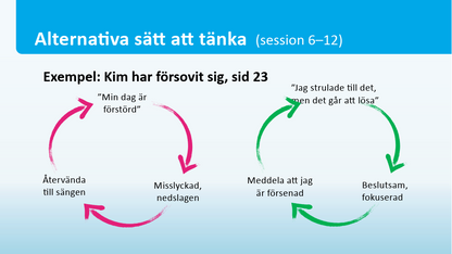 NECT- grupprogram mot självstigma. Digitala träffar. 20 sessioner, 10 kvällsträffar. Start 28 nov.