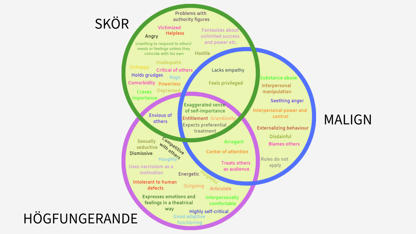Att leva nära en narcissist – förstå, skydda dig