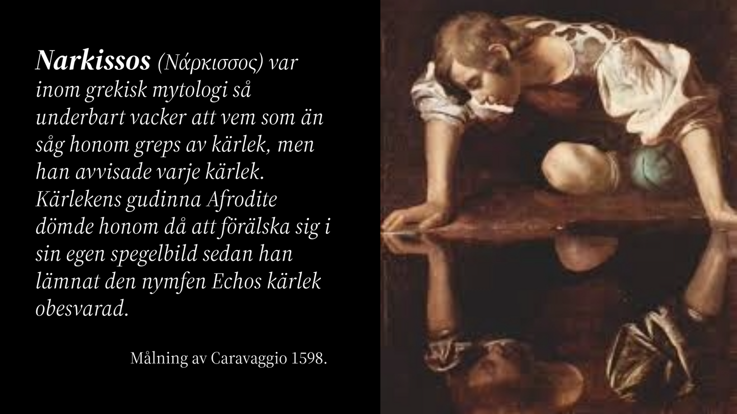 Att leva nära en narcissist – förstå, skydda dig