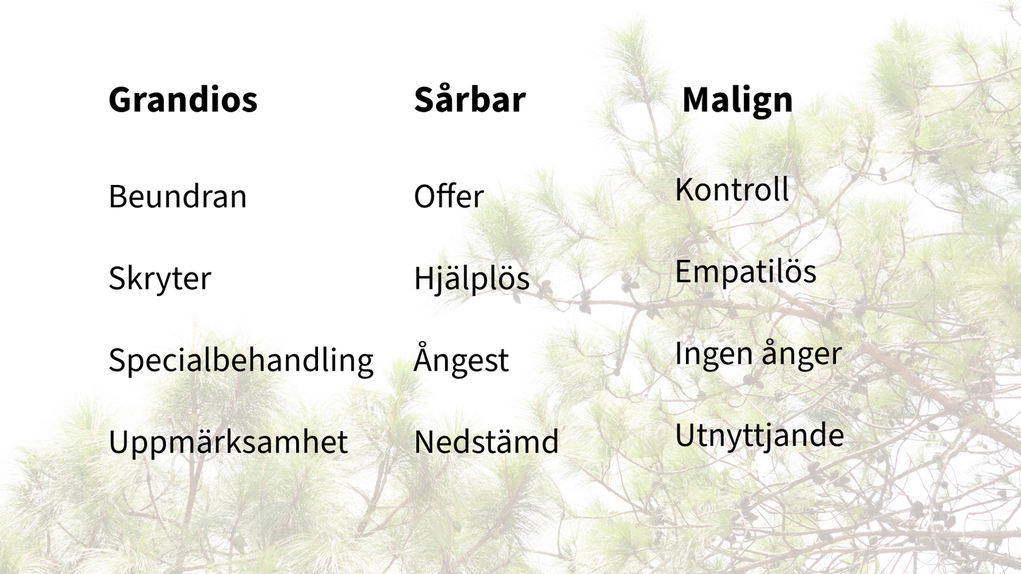 Att leva nära en narcissist – förstå, skydda dig