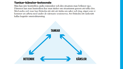 NECT- grupprogram mot självstigma. Digitala träffar. 20 sessioner, 10 kvällsträffar. Start 28 nov.